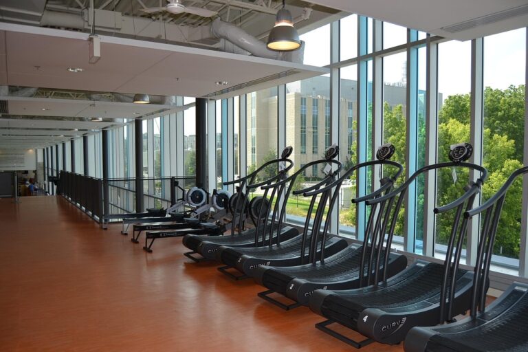 100 frases de treino para status: melhores