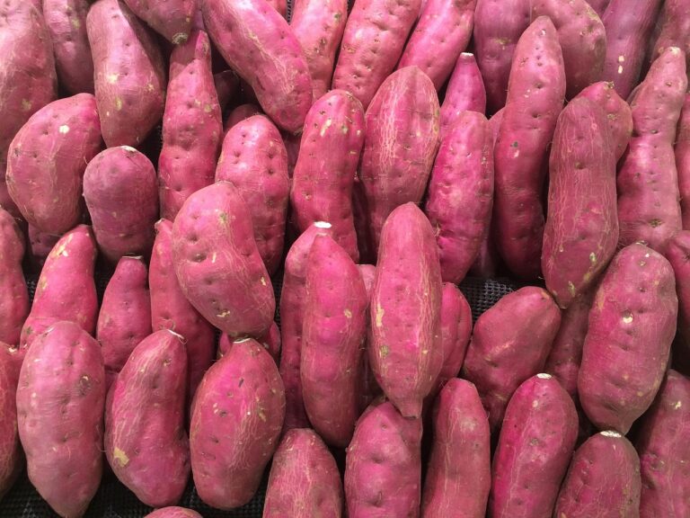 13 benefícios da batata-doce